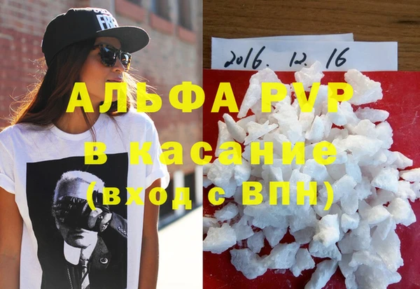 спиды Новодвинск