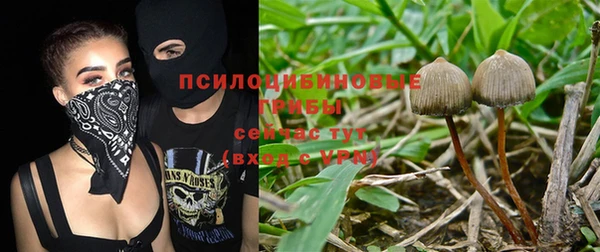 mix Новозыбков