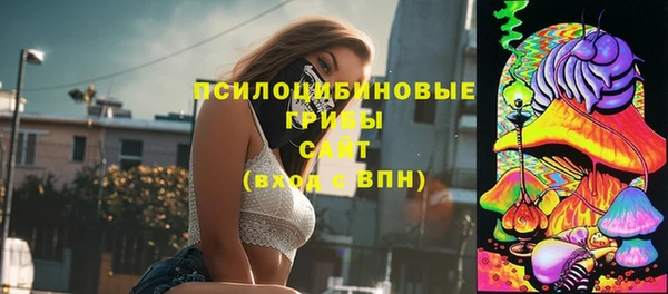 прущие крисы Новокубанск