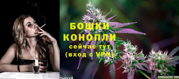 спиды Новодвинск